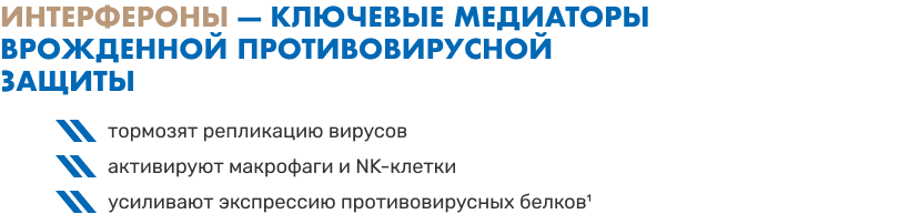 kartochka-31.png (21 KB)