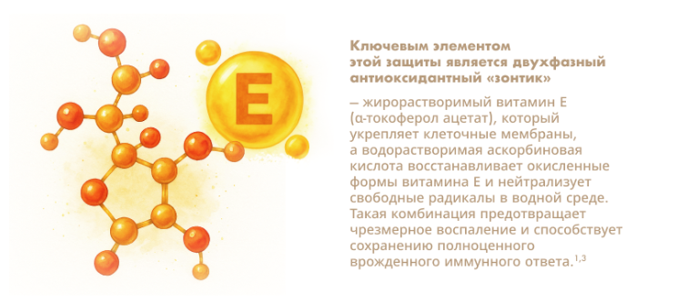 kartochka-6.1.png (228 KB)