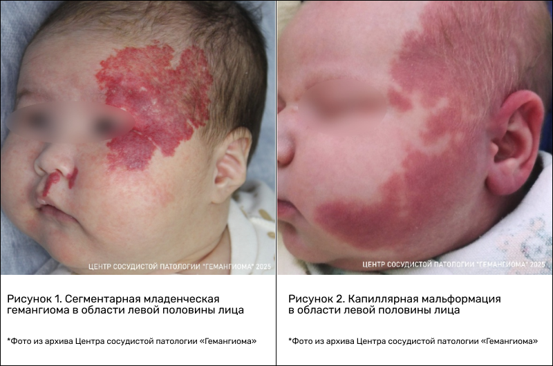 frame_770_(4).png (459 KB)