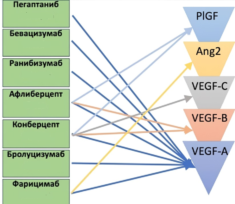 risunok10565.png (398 KB)